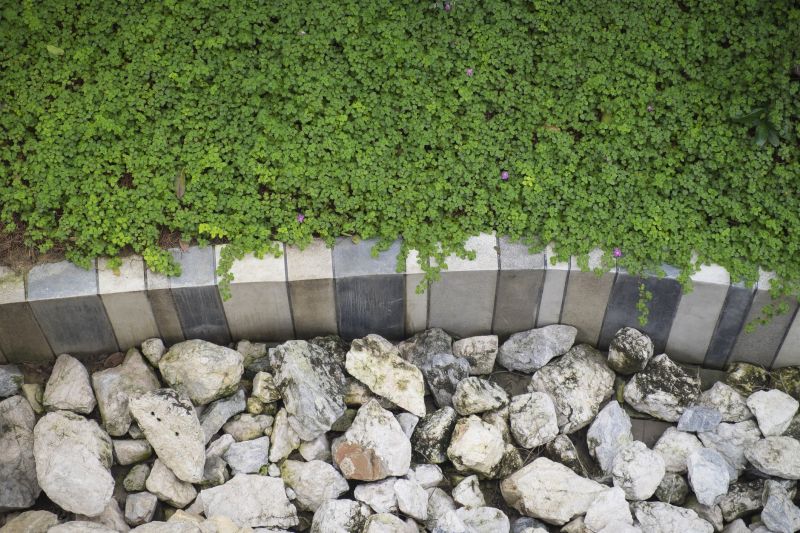 Lawn Curbing Installation