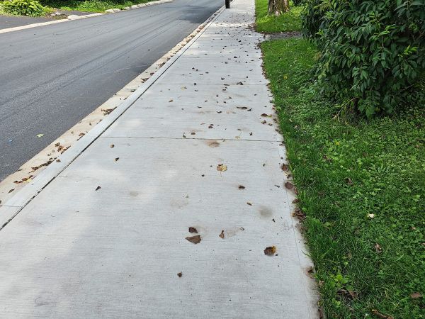 Sidewalk Renovation in Davis