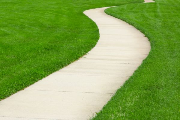 Concrete Walkway Construction in Davis