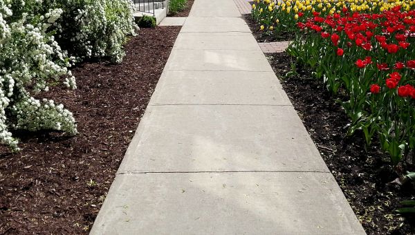 Cement Sidewalk Installation in Davis