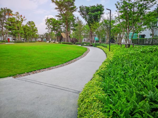 Cement Walkway Service in Davis