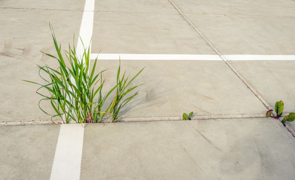 Concrete Parking Installation in Davis