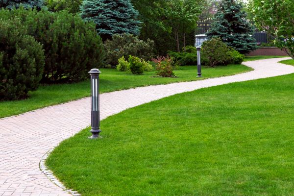Backyard Sidewalk Installation in Davis