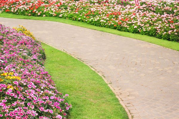 Concrete Walkway Service in Davis